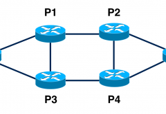 MPLS Diagram Terabit Systems