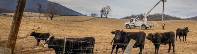 rural broadband, ISP, Terabit Systems